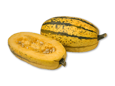 Spaghettisquash