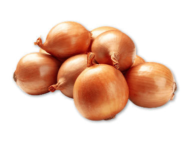 Løg