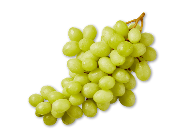 Grønne kernefri vindruer