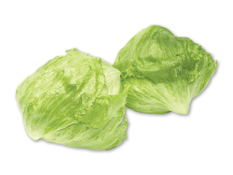 To friske iceberg salater med dugdråber på sort baggrund.
