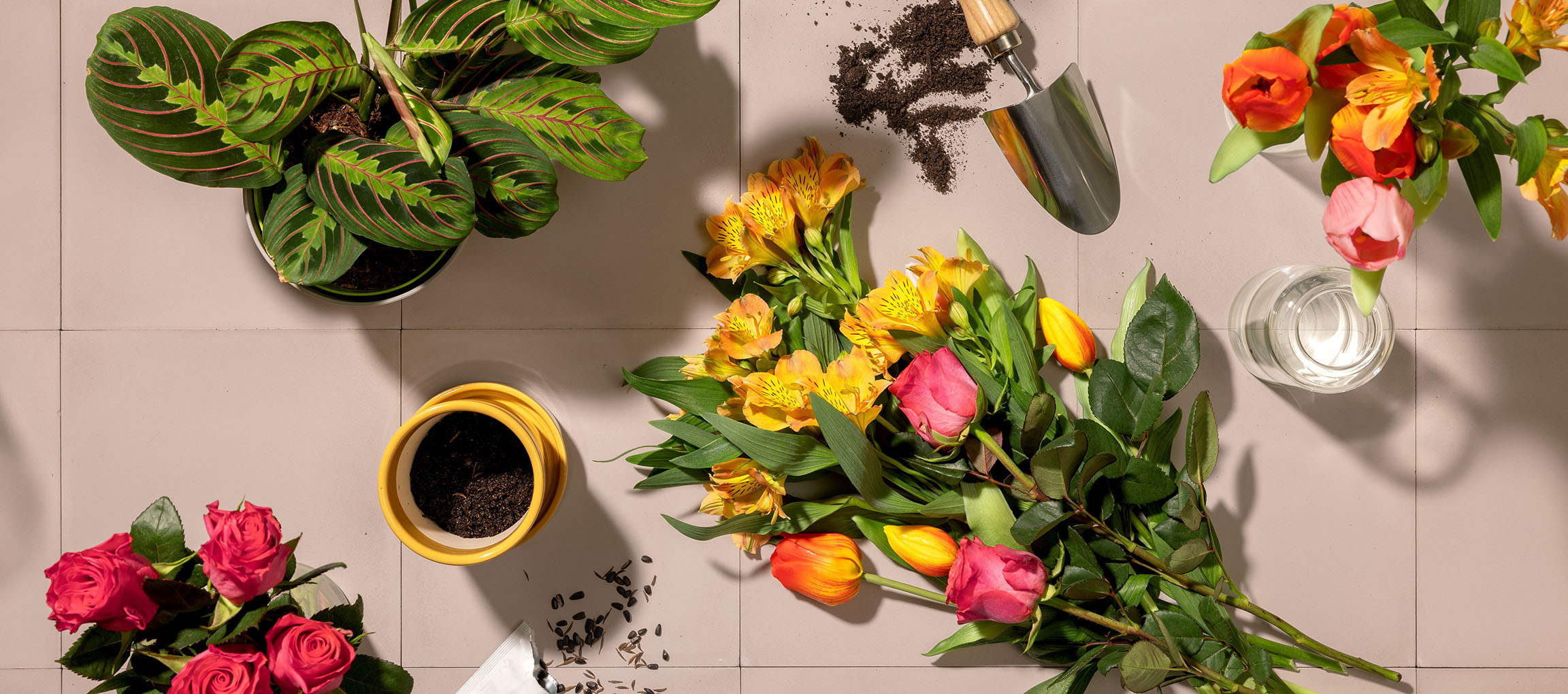 Friske blomster, potteplante og haveredskaber på lys baggrund.