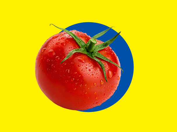 En frisk rød tomat med vanddråber, på en gul baggrund med en blå cirkel.