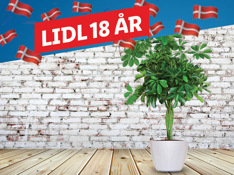 Slå dig løs i vores blomsterudvalg