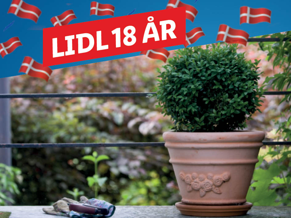 Slå dig løs i vores blomsterudvalg