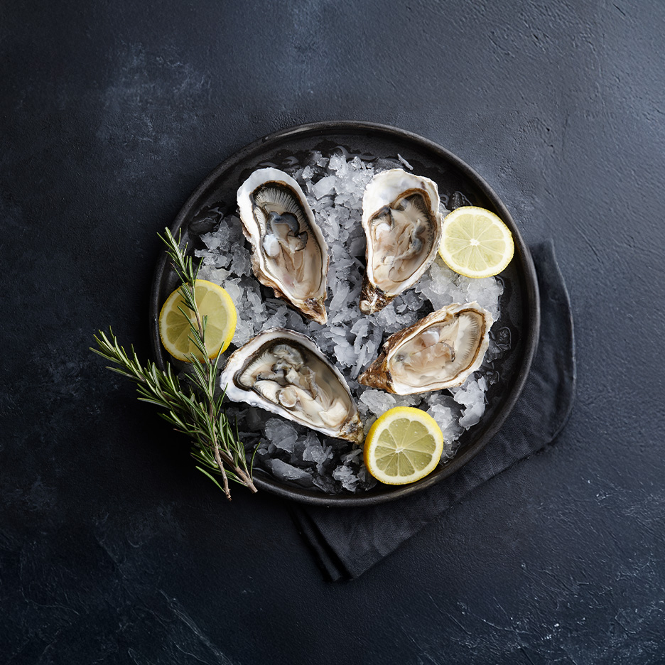 Friske østers på is med citron og rosmarin på en mørk baggrund.