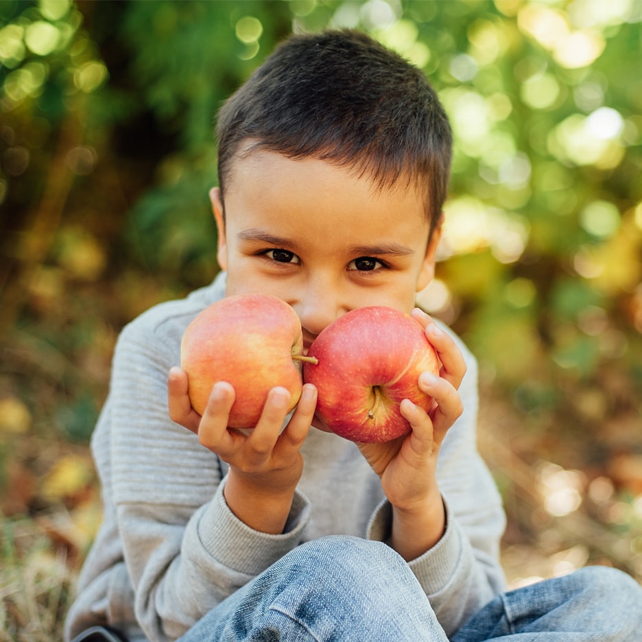 Glad dreng holder to røde æbler foran ansigtet i en have.