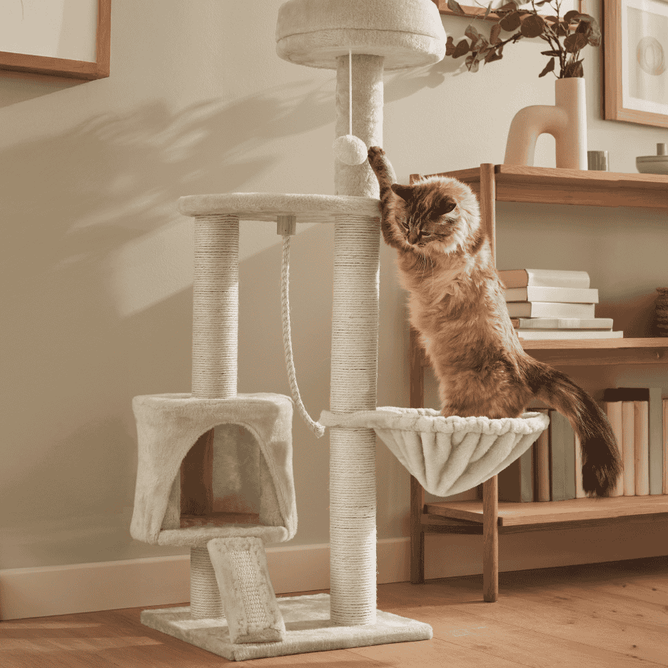 En kat leger med en kradsestolpe med flere niveauer, en hule og en hængekøje.