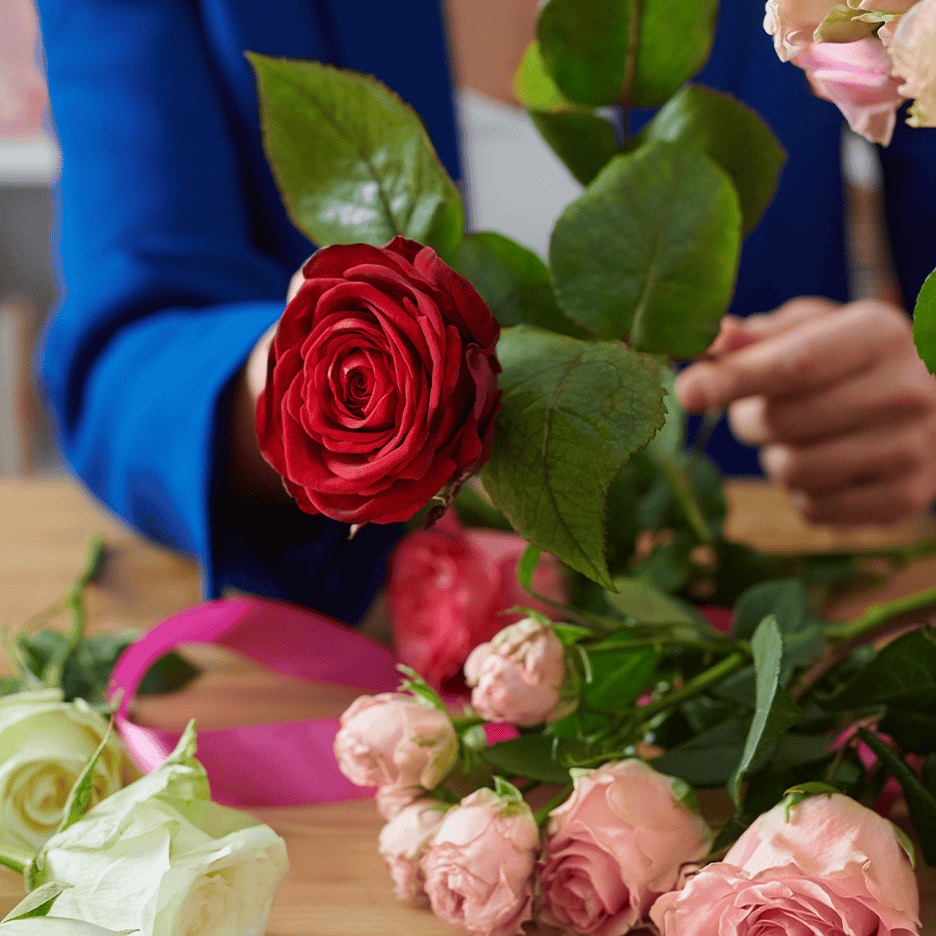 En person i blå jakke holder en rød rose, omgivet af lyserøde og hvide roser og et pink bånd.