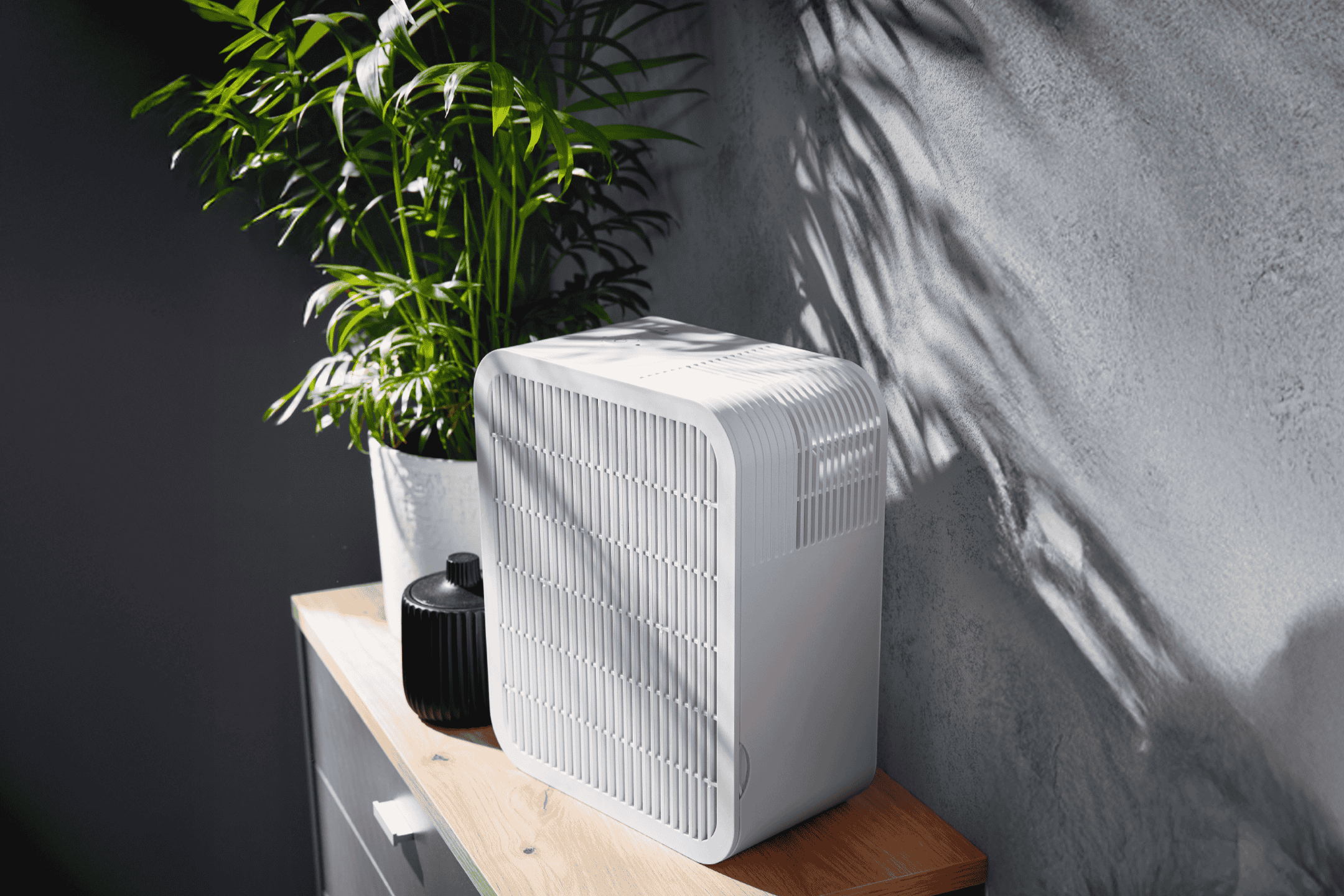 Hvid luftrenser på et træbord ved siden af en grøn plante og en sort vase.