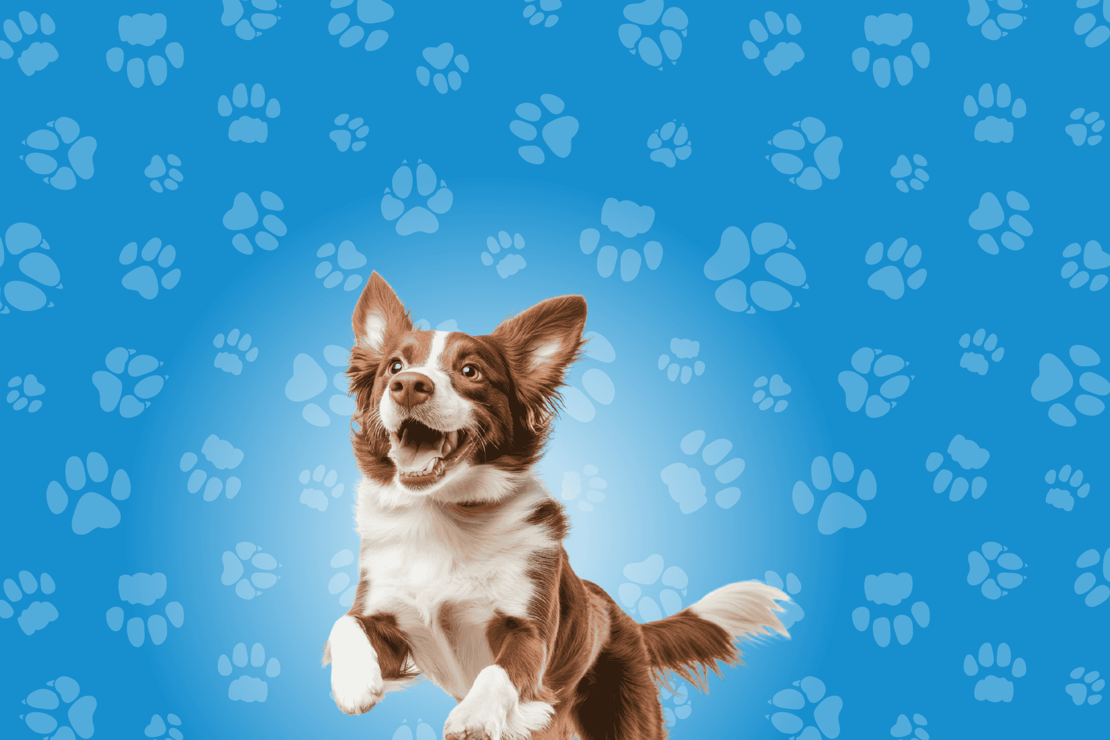 Glad hund hopper på blå baggrund med potespor.