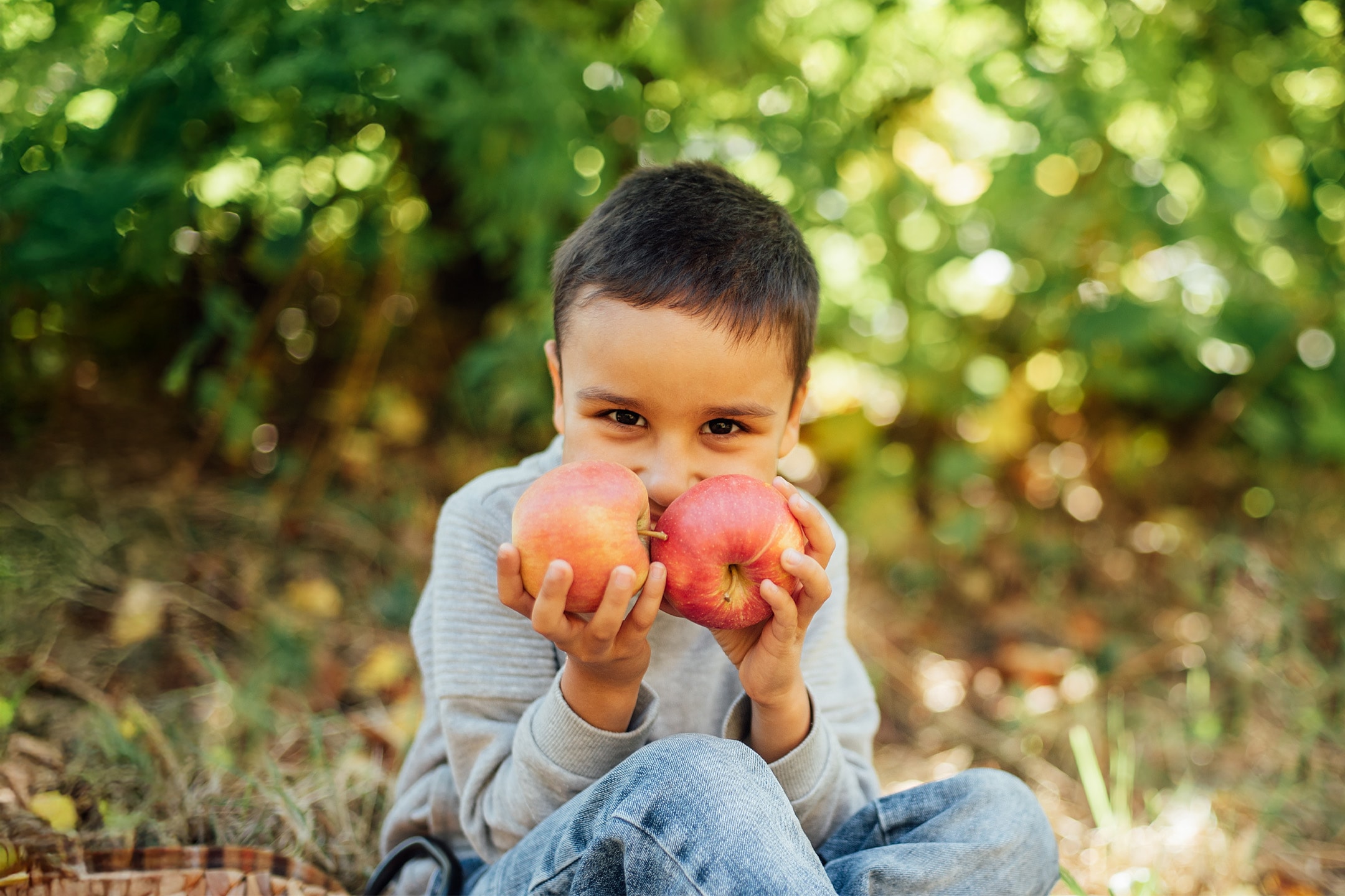 En dreng holder to æbler foran ansigtet i en grøn have.