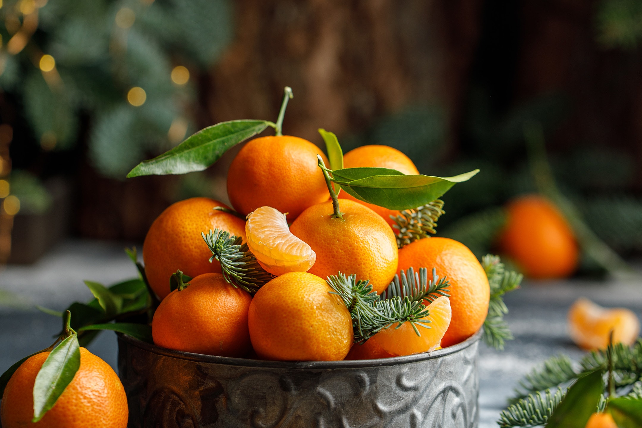 Friske mandariner med grønne blade og grangrene i en metalbeholder.