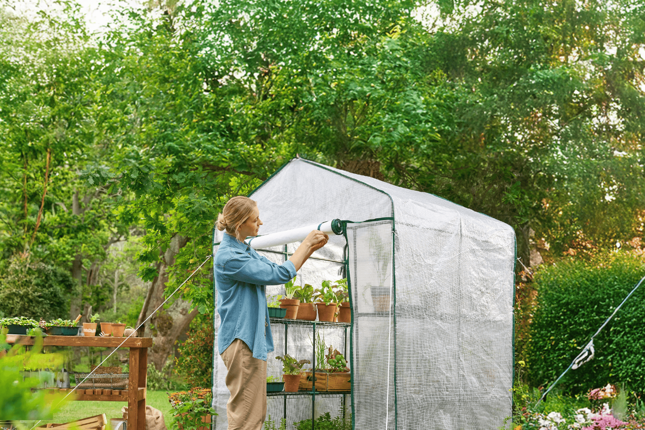 Kvinde åbner et drivhus med planter i potter, omgivet af grønne træer.