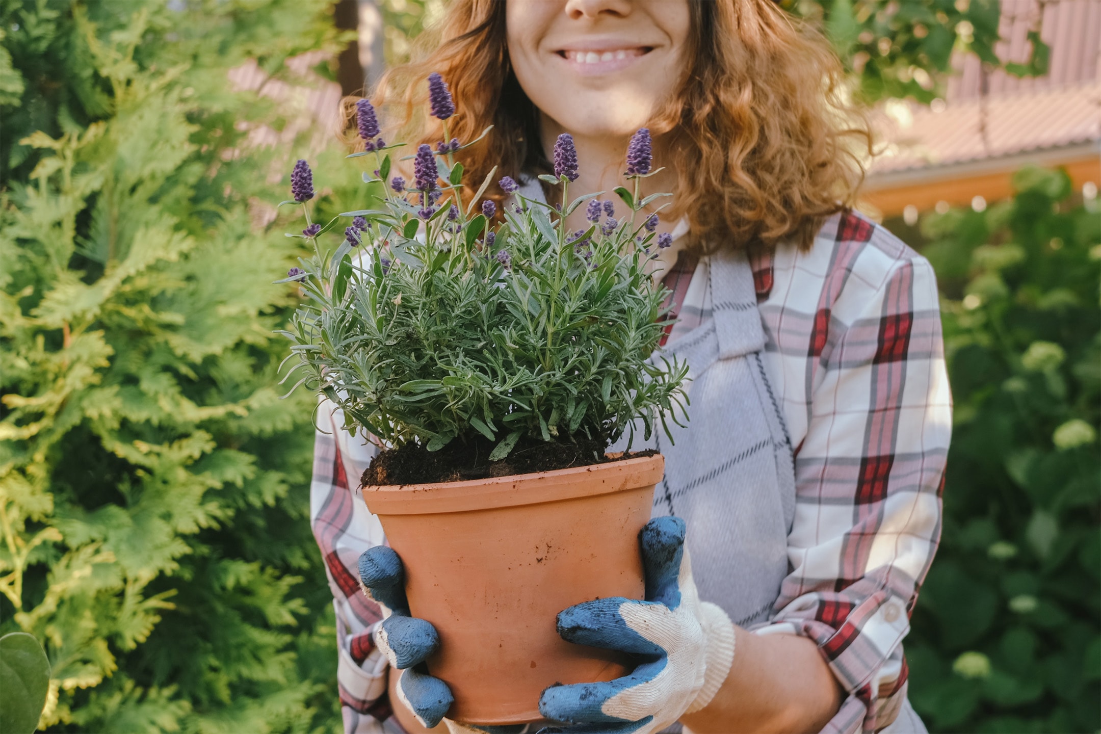 Smilende kvinde holder en potte med lavendel iført havehandsker og ternet skjorte.