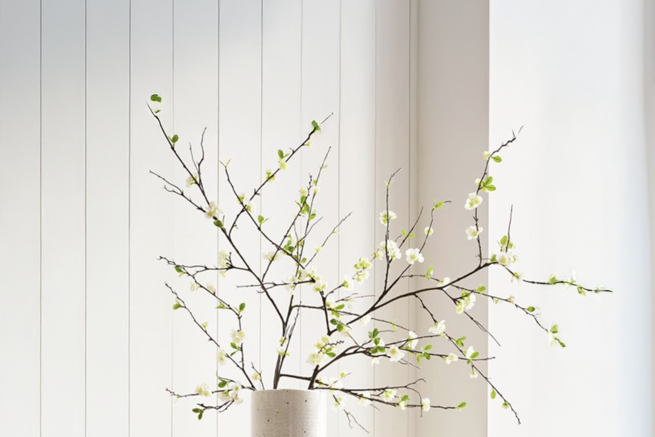 Hvide blomstrende grene i en vase foran en hvid, lodret panelvæg.
