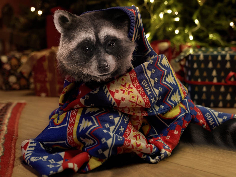Oplev den magiske juletid