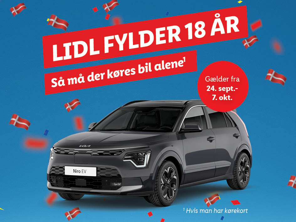 VIND en Kia Niro EV Upgrade