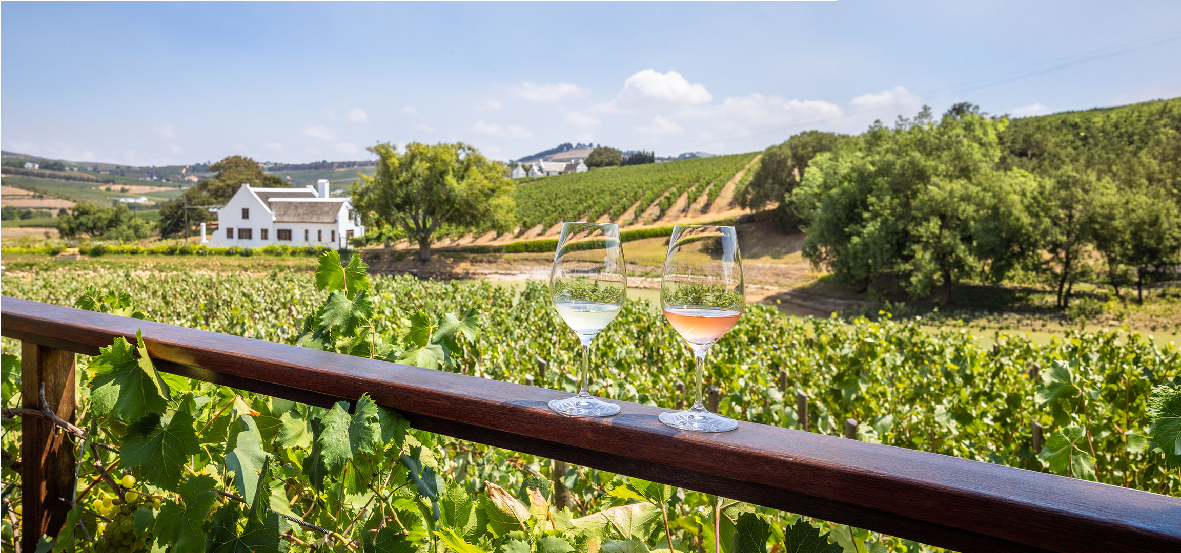 To glas vin, hvid og rosé, med en vingård og hvidt hus i baggrunden.