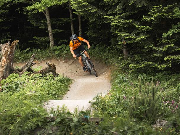 Mountainbiker på en skovsøj.