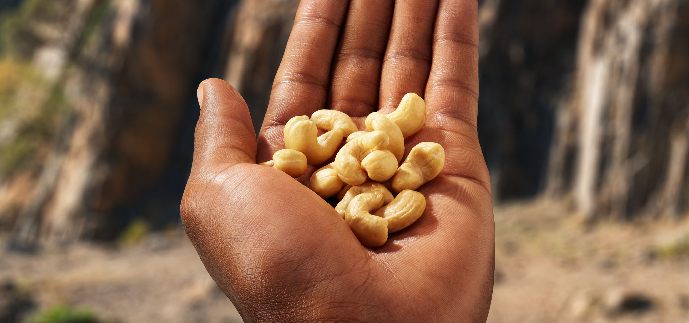En håndfuld cashewnødder i en håndflade mod en sløret baggrund.