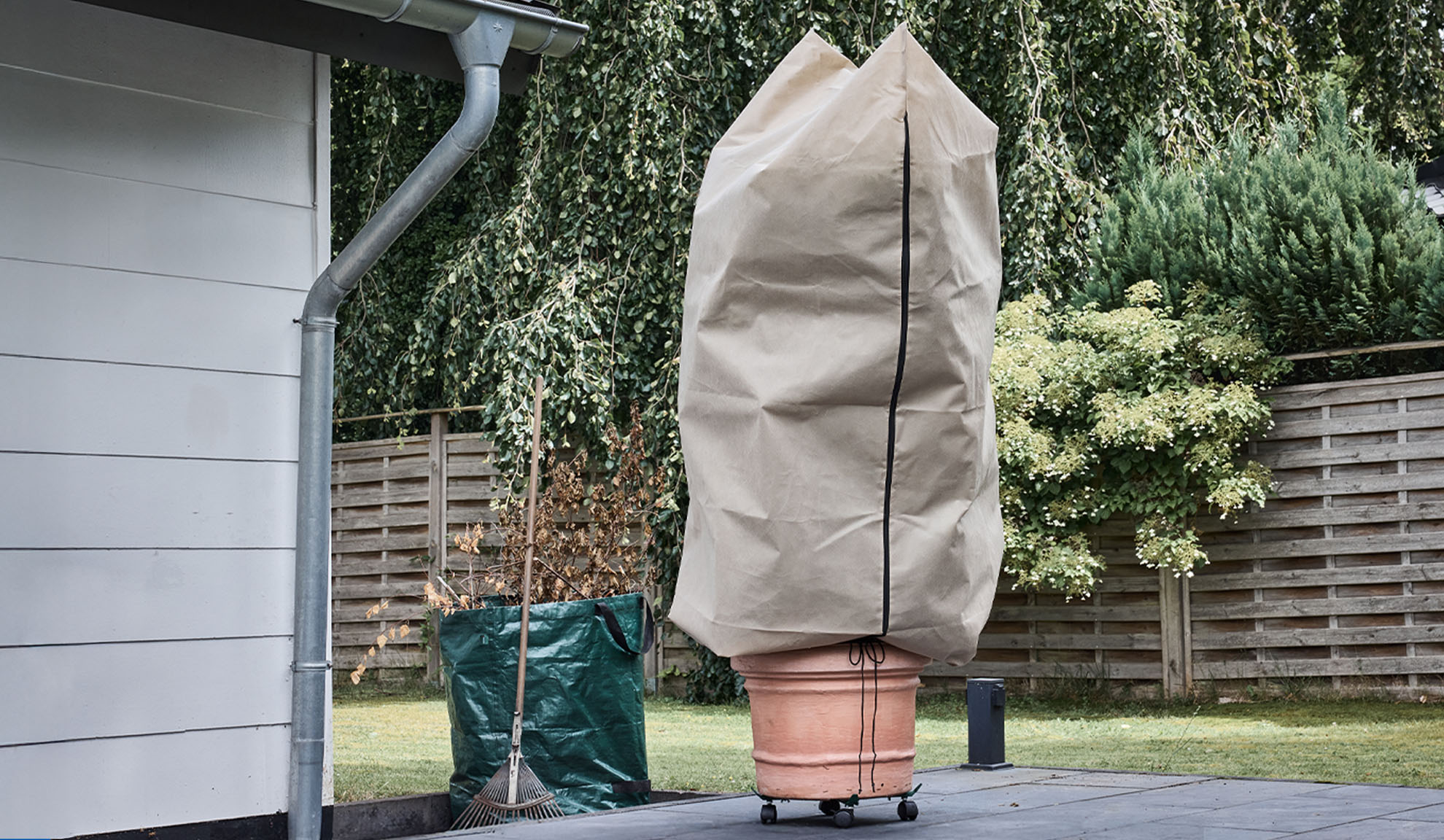 Plantedækken på en potteplante på en terrasse med tagrende og rive.