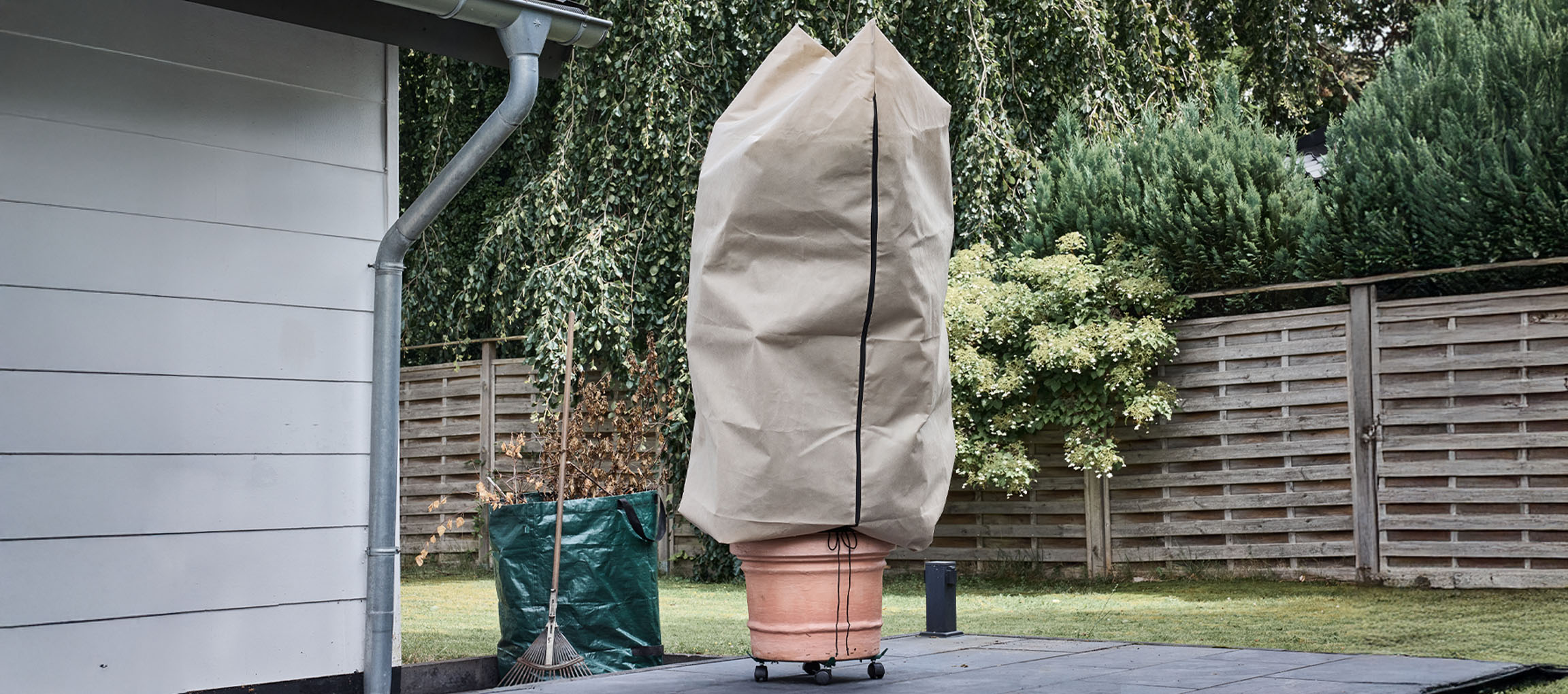 Potteplante med vinterbeskyttelsesovertræk på en terrasse ved siden af et hus.