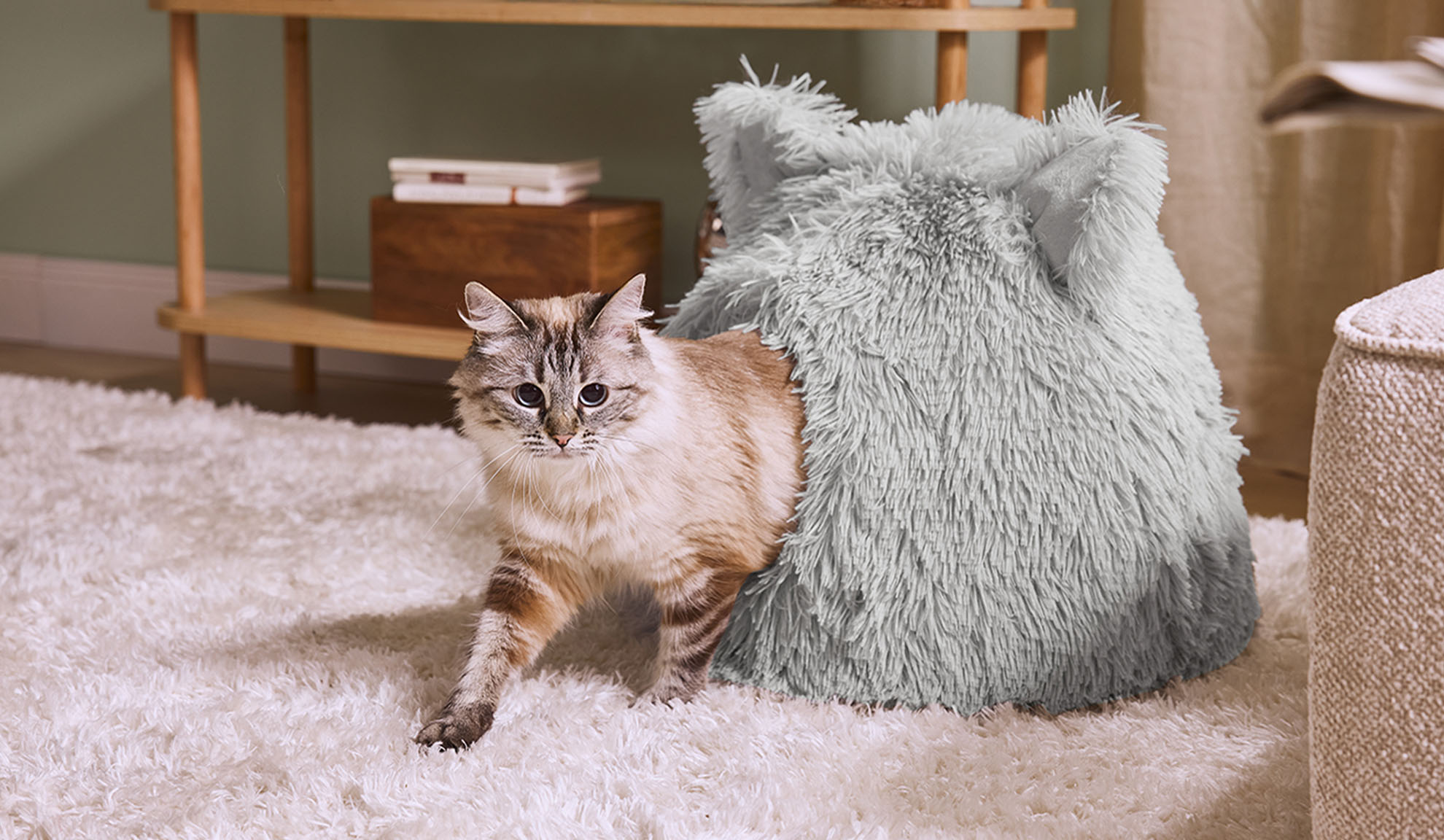 Kat kommer ud af en grå, fluffy seng på et hvidt tæppe.