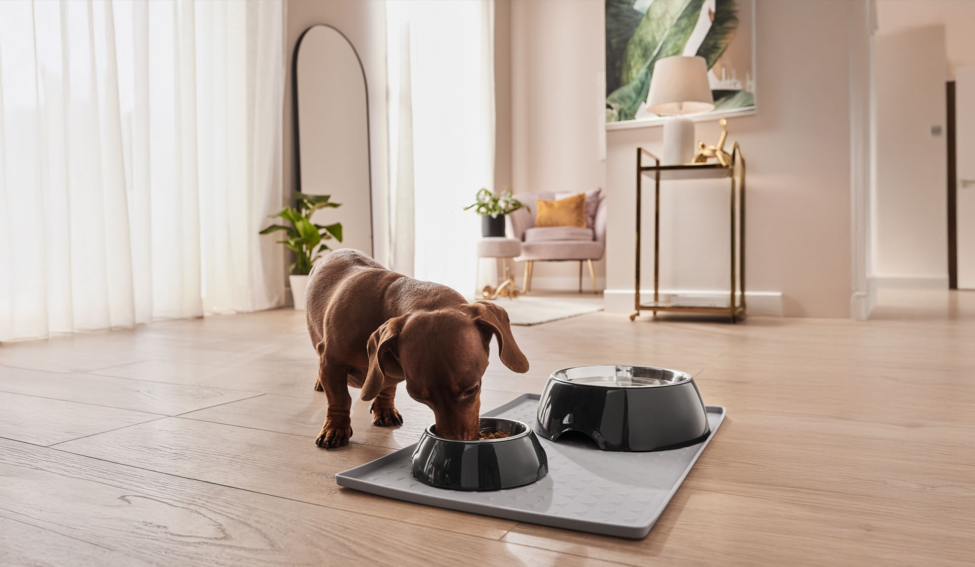 En dachshund spiser af sin hundeskål på en beskyttende måtte.