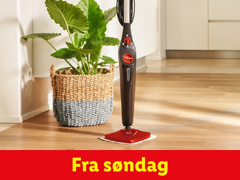 Vileda gulvvasker på trægulv ved en plante.
