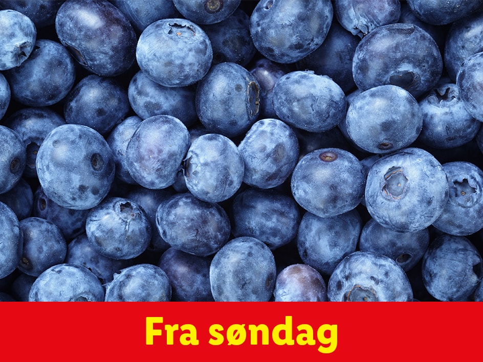 Blåbær fra søndag.