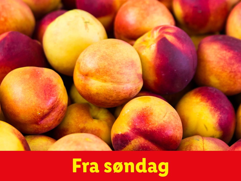 Ferskner klar fra søndag.