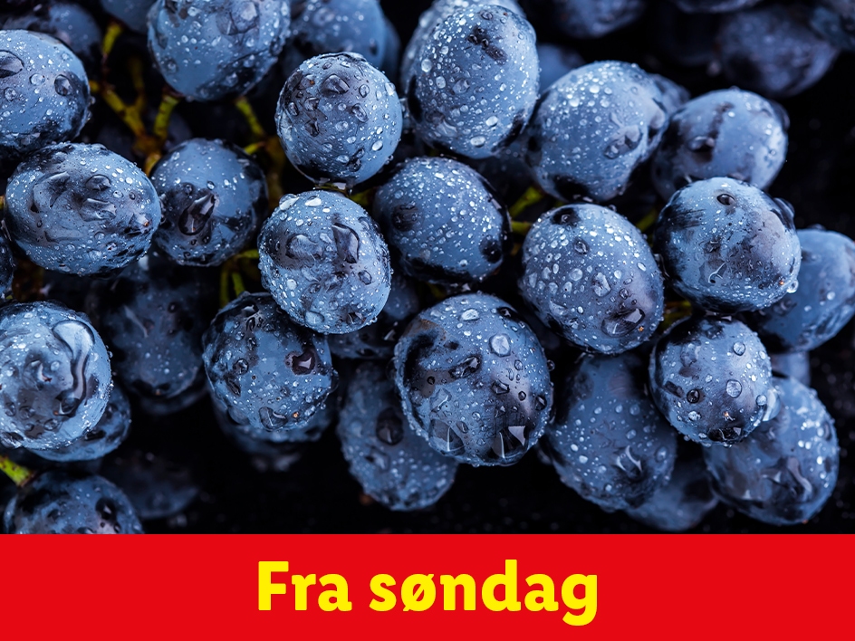 Blå druer med vanddråber og teksten 'Fra søndag' på en rød baggrund.