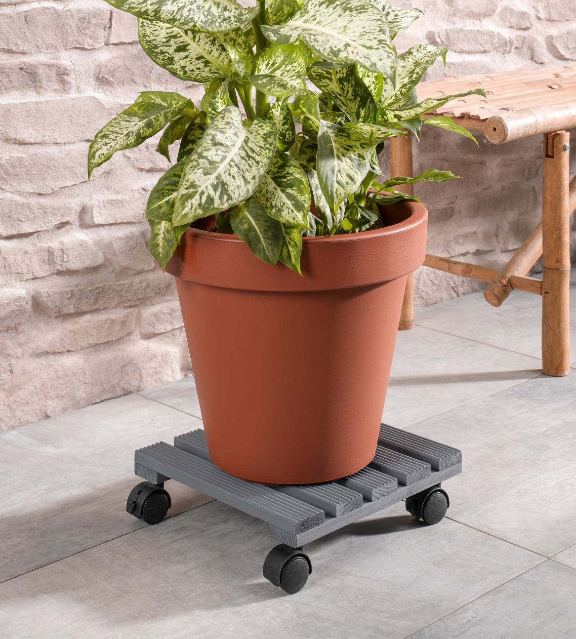 En stor potteplante på en grå rullende plantekasse på en flisebelagt terrasse.