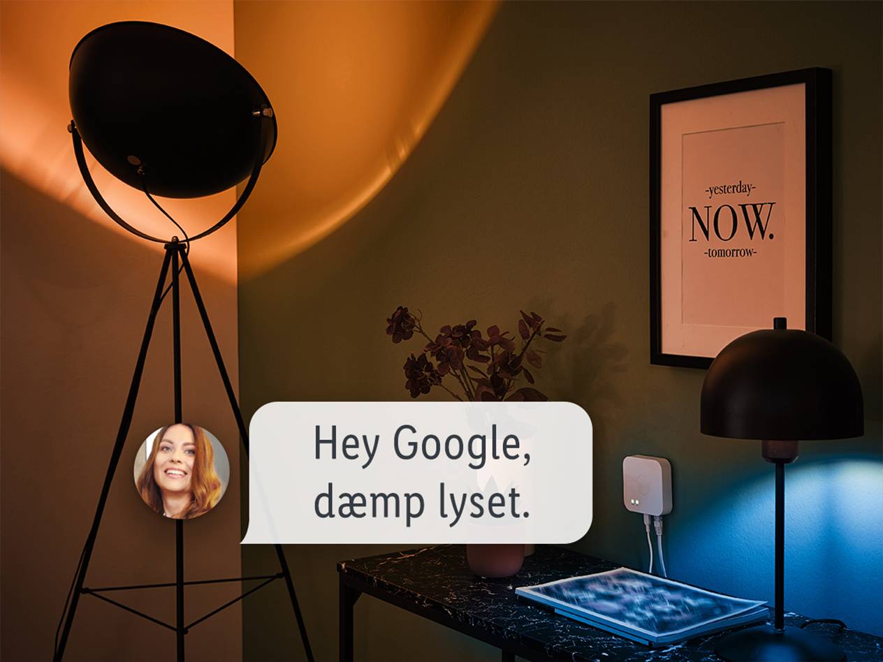 Nem talestyring med Google Assistant
